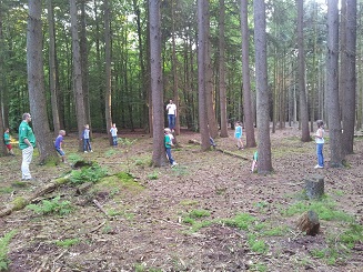 Bomen tikkertje