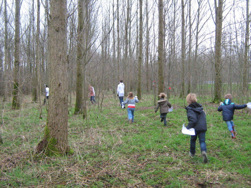 Bevers in afrika, bevers rennen door het bos